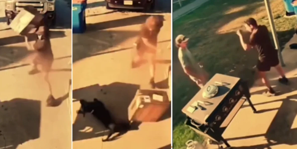 UPS driver throws 30lb package at aggressive dog, sparking debate