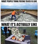 Funny pics and memes (8)