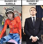 Funny pics and memes (8)