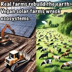 Funny pics and memes (21)