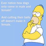Funny pics and memes (21)