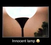 Funny pics and memes (1)