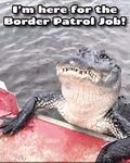 Funny pics and memes (1)