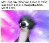 Funny pics and memes (3)