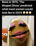 Funny pics and memes (3)