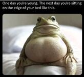Funny pics and memes (17)