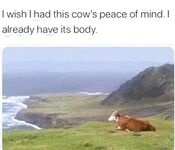 Funny pics and memes (17)