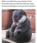 Funny pics and memes (17)