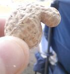 Funny memes and bad tweets