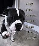 Funny pics and memes for the day