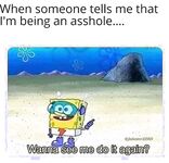 Hilarious pictures and memes