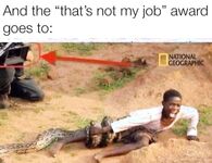 Hilarious pictures and memes