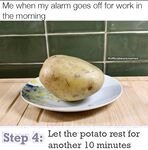 Funny pictures make the world go around