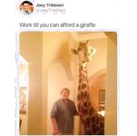 Laughing my you know what off!