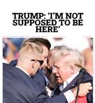 I stole these memes, you should too