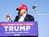 I stole these memes, you should too