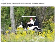 I stole these memes, you should too