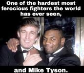 I stole these memes, you should too