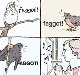 Good memes and bad tweets 2