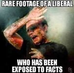 Good memes and bad tweets 2