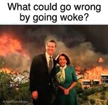 Good memes and tweets 5