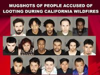 Good memes and tweets 5