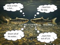 Just good funny memes