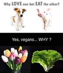 Just good funny memes