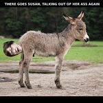 Good memes and tweets 6