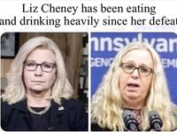 Good memes and tweets 7