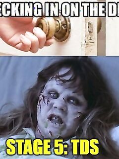Funny pics and memes (1)