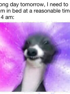 Funny pics and memes (3)