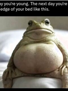 Funny pics and memes (17)
