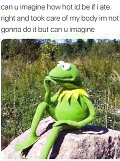 Funny pictures make the world go around