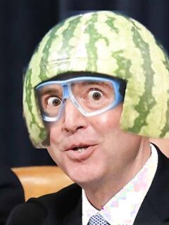 Funny pics and memes for the day