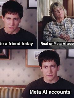 Hilarious pictures and memes