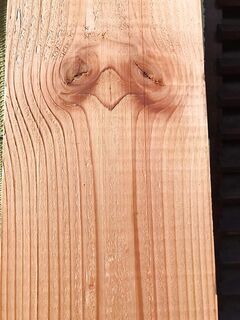 I love memes and maybe three people