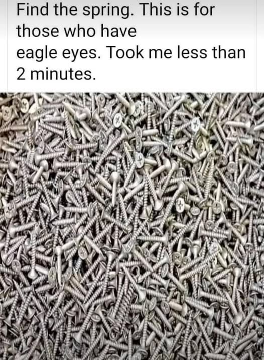 Funny pics and memes (18)