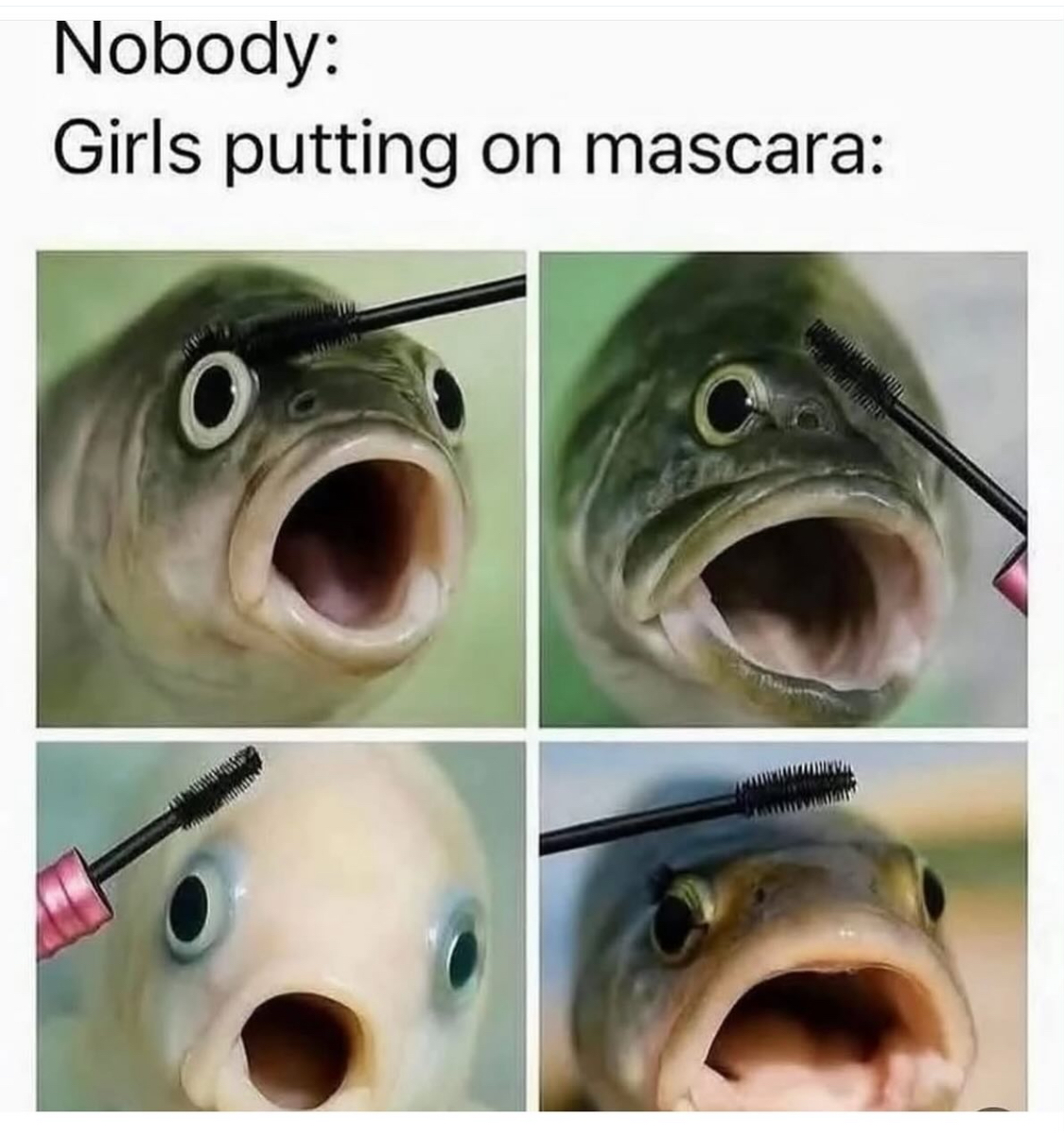 Funny pics and memes (18)