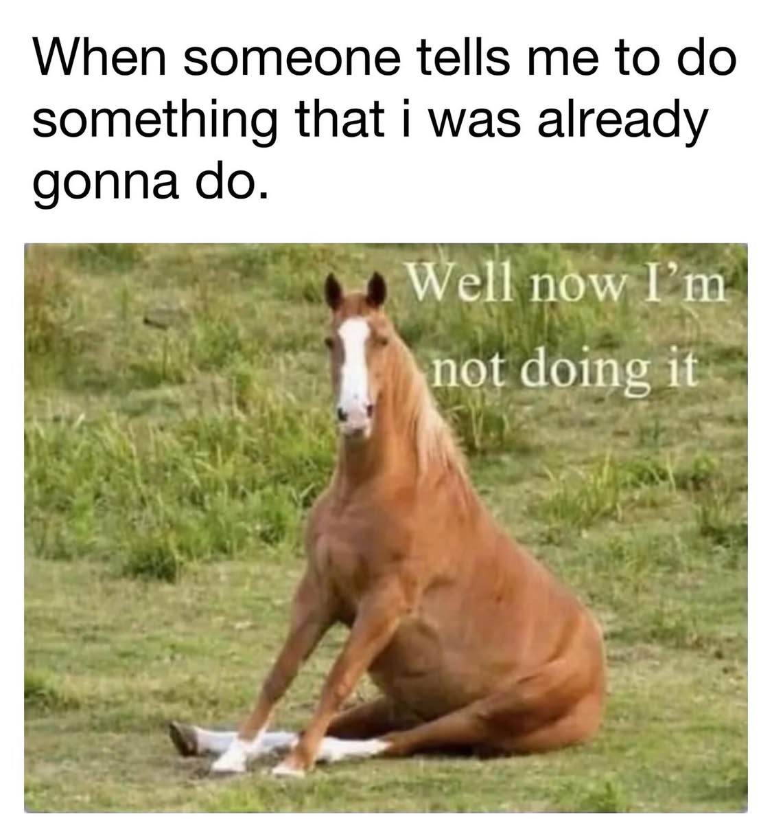 Funny pics and memes (18)