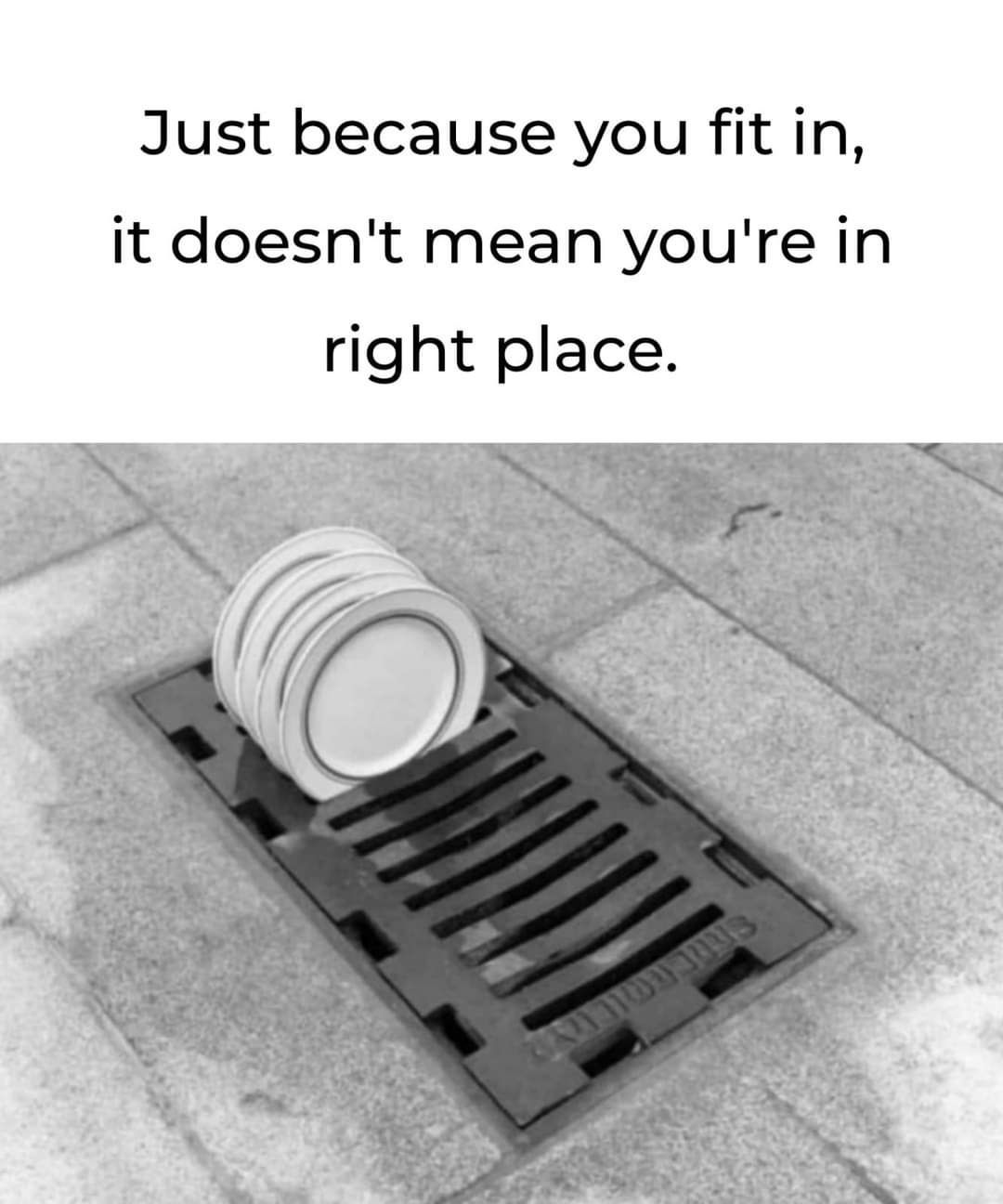 Funny pics and memes (11)
