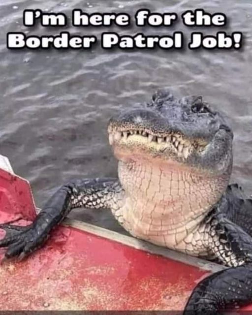 Funny pics and memes for the day