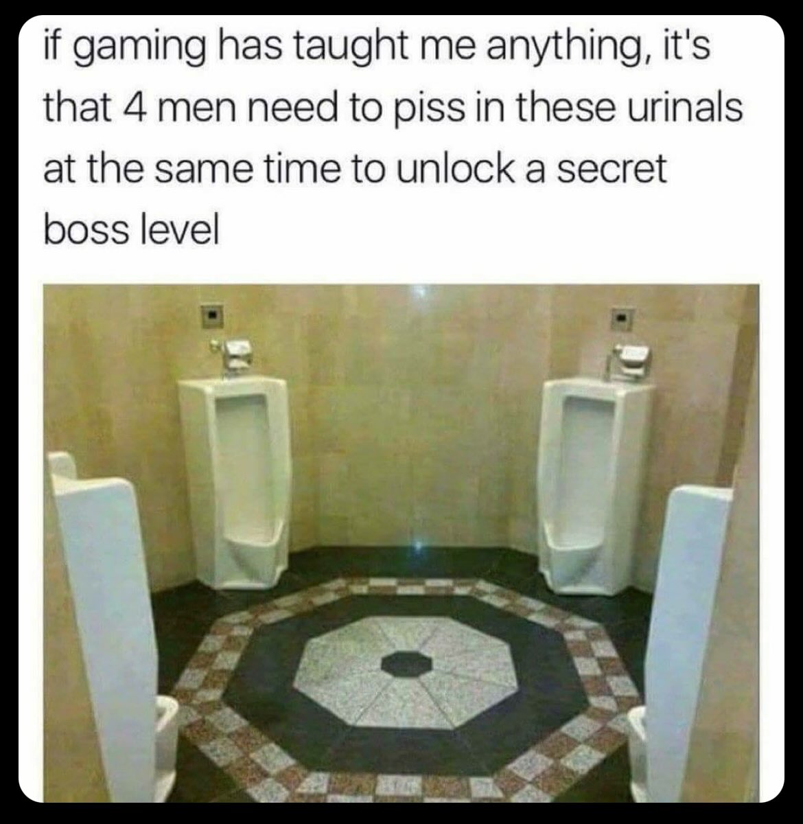 Funny pics and memes for the day