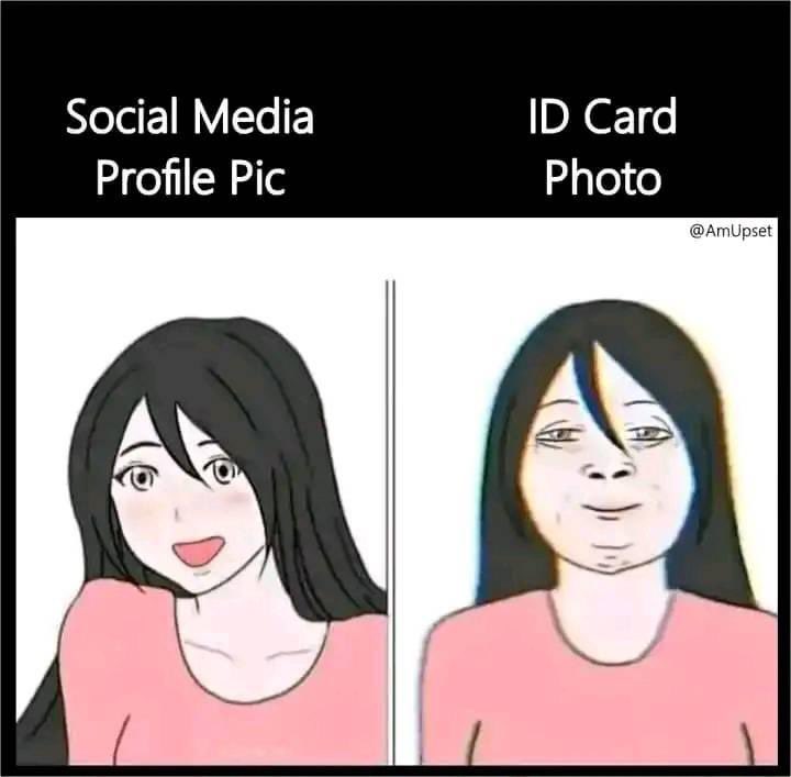 Hilarious pictures and memes