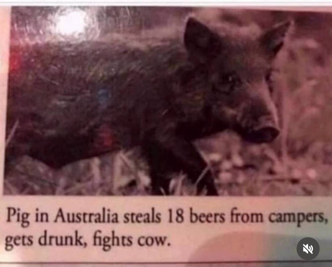 Funny pictures make the world go around