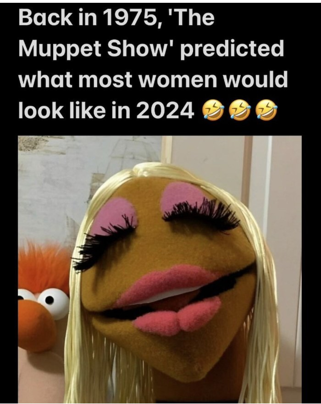 Please steal these memes