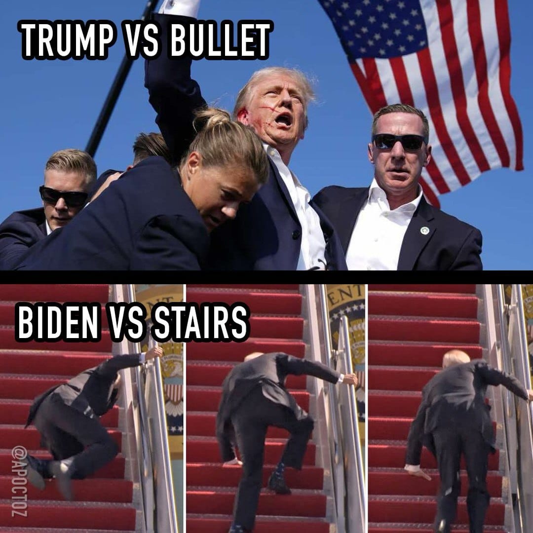 I stole these memes, you should too