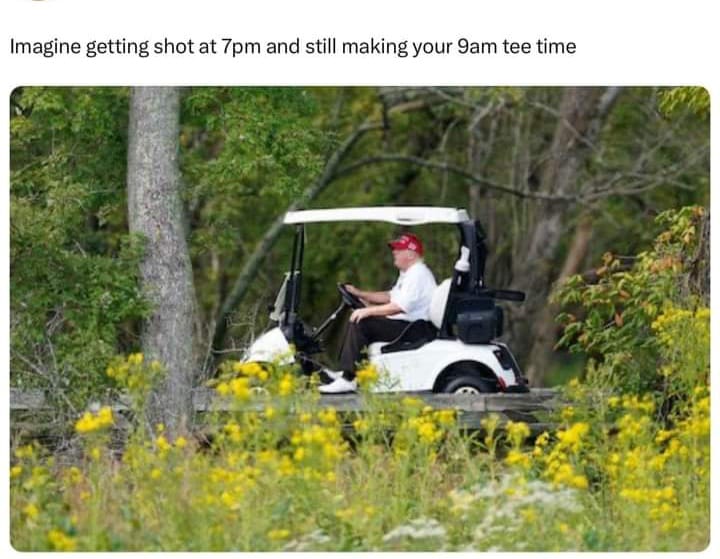 I stole these memes, you should too
