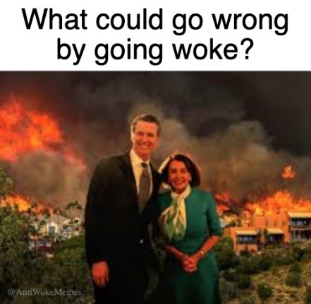 Good memes and tweets 5