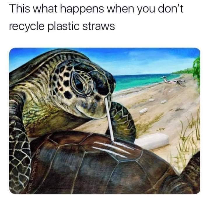 Good memes and tweets 5